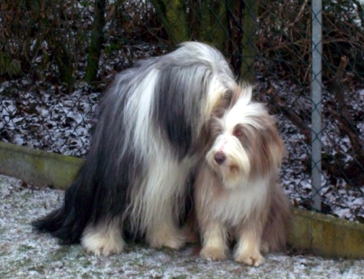 Luna und Laurus