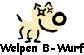 Welpen B-Wurf